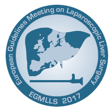 First European Guidelines Meeting on Laparoscopic Liver Surgery
