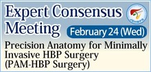 JSHBPS - Expert Consensus Meeting: Precision Anatomy for Minimally Invasive HBP Surgery (PAM-HBP Surgery Project)